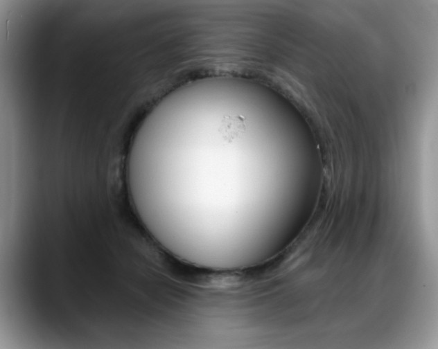 X0000088870462200706080724
