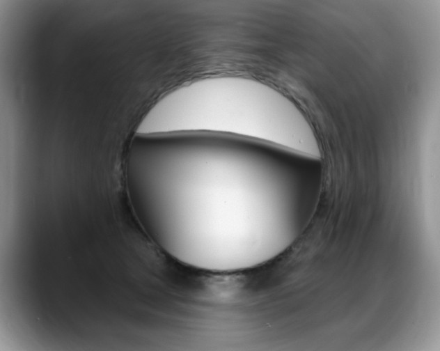 X0000088870465200706080724