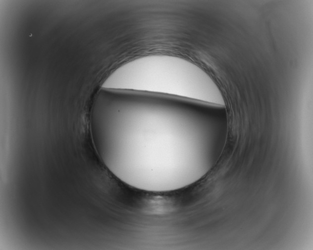 X0000088870467200706080724