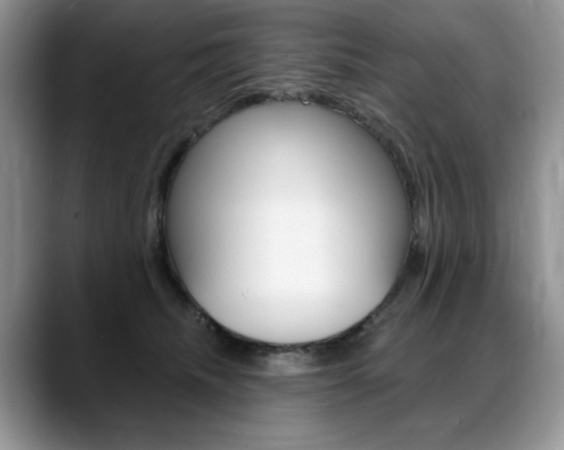 X0000088870468200706080724