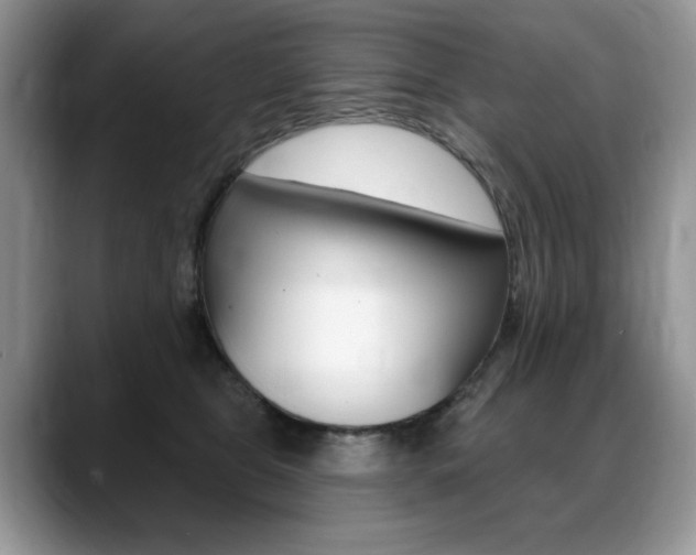 X0000088870469200706080724