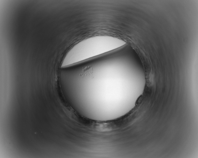 X0000088870472200706080724