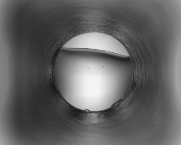 X0000088870473200706080724