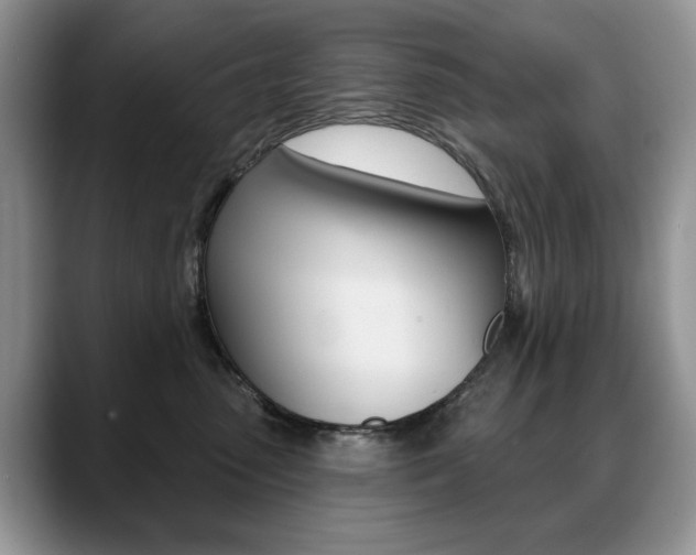 X0000088870475200706080724