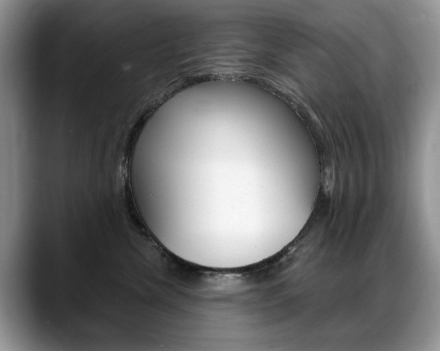 X0000088870476200706080724