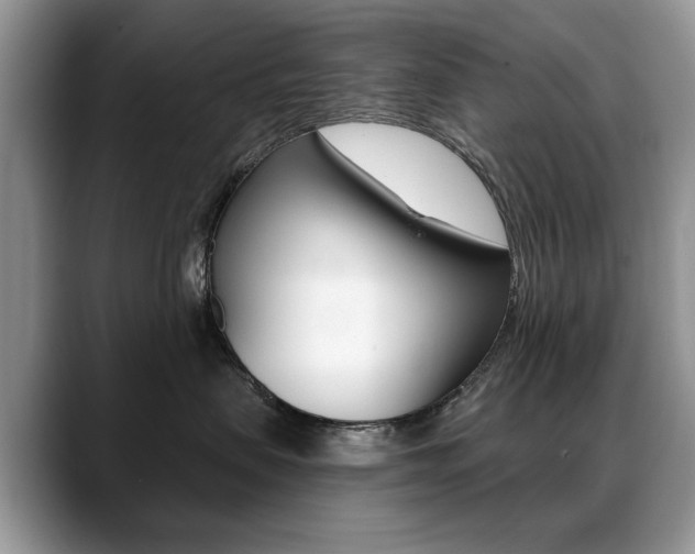 X0000088870479200706080724
