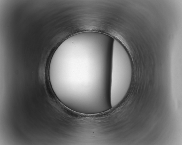 X0000088870482200706080724