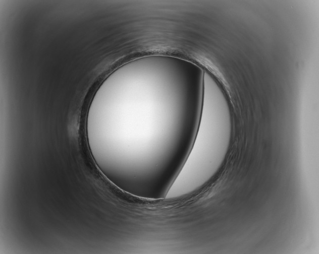 X0000088870483200706080724