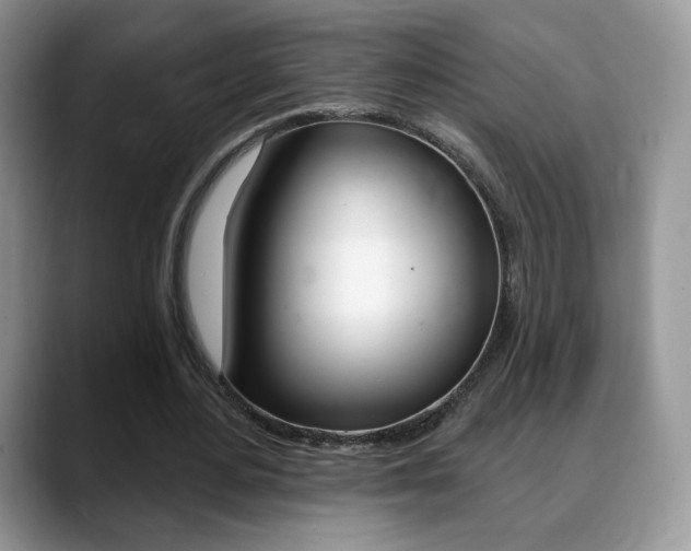 X0000088870484200706080724