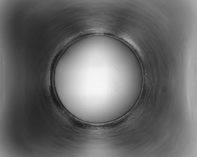 X0000088870486200706080724