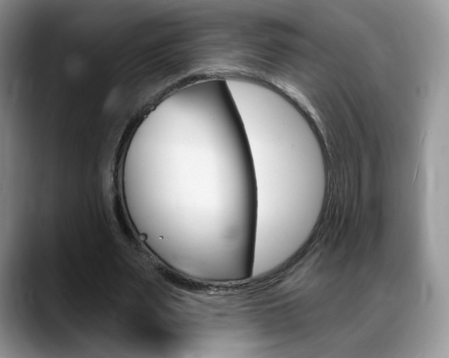 X0000088870487200706080724