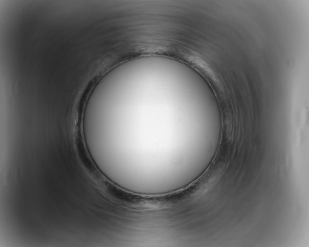 X0000088870490200706080724