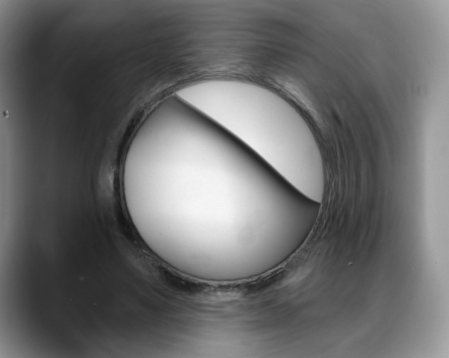 X0000088870491200706080724