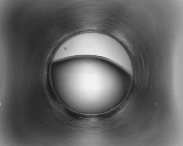 X0000088870492200706080724