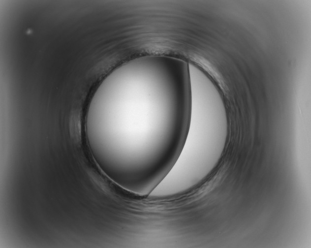 X0000088870493200706080724