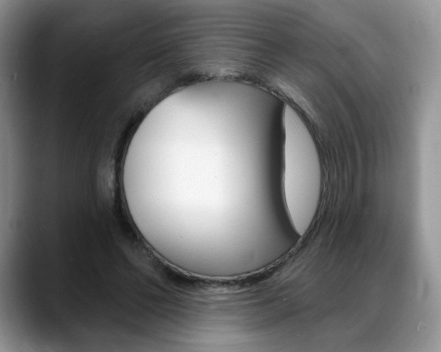 X0000088870494200706080724