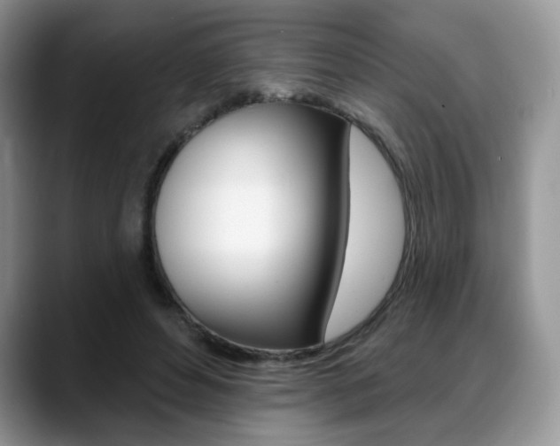 X0000088870496200706080724