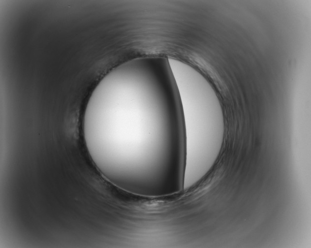 X0000088870497200706080724