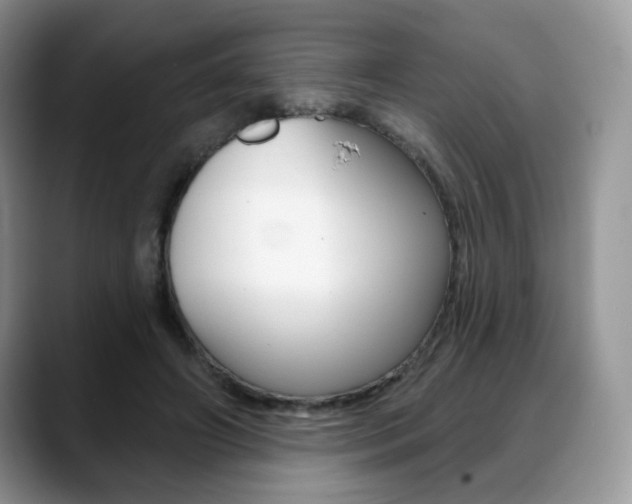X0000088870498200706080724