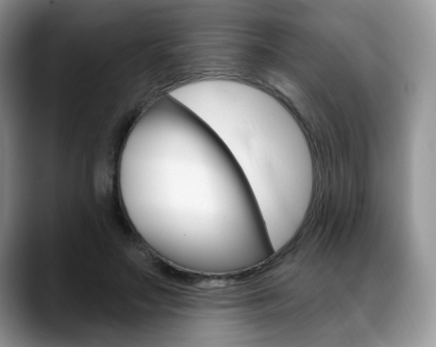 X0000088870499200706080724