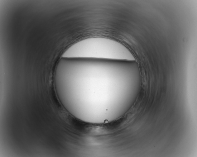 X0000088870507200706080724