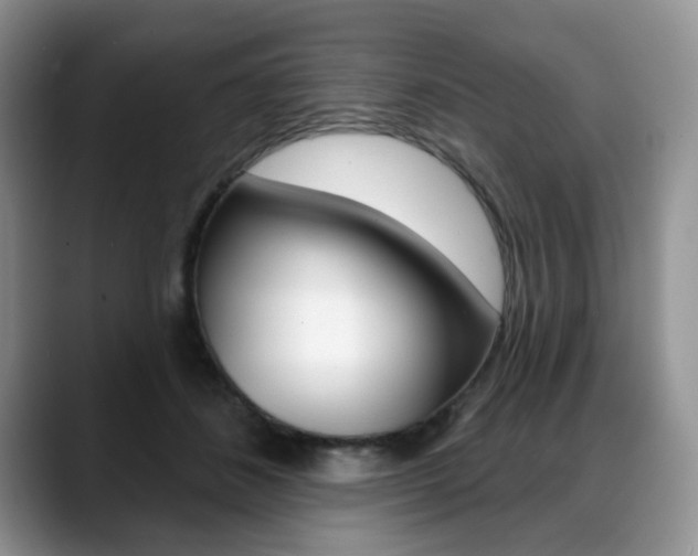 X0000088870508200706080724