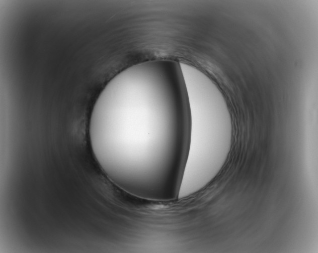 X0000088870509200706080723