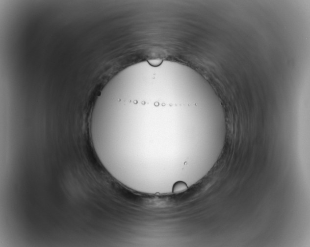 X0000088870511200706080723
