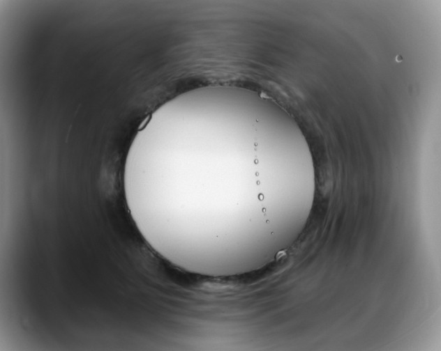 X0000088870515200706080723
