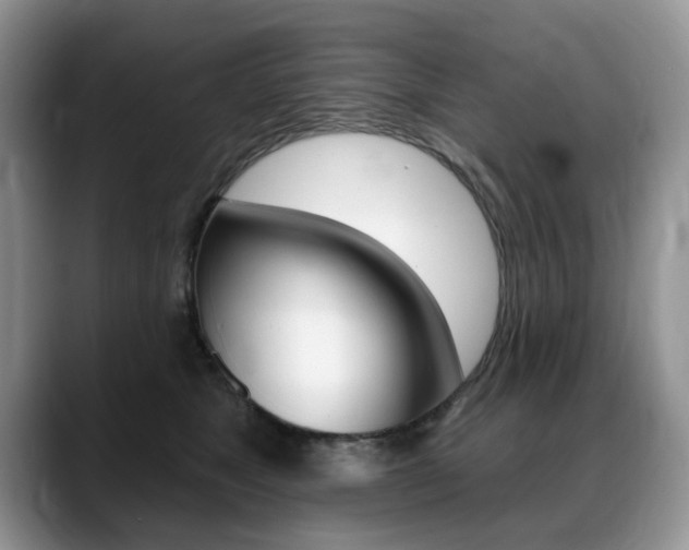 X0000088870517200706080723