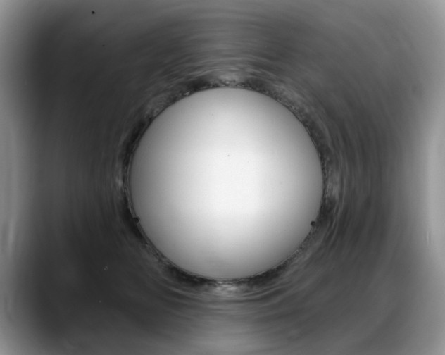 X0000088870518200706080723
