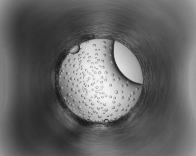 X0000088870519200706080723