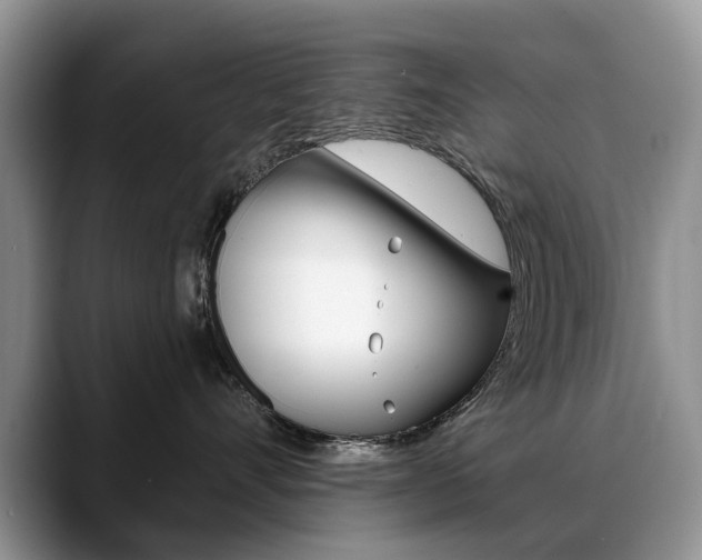 X0000088870528200706080723