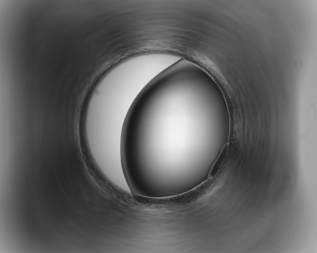 X0000088870530200706080723