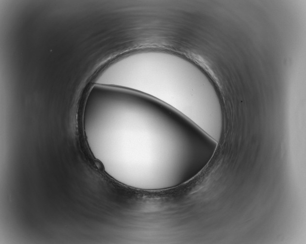 X0000088870531200706080723