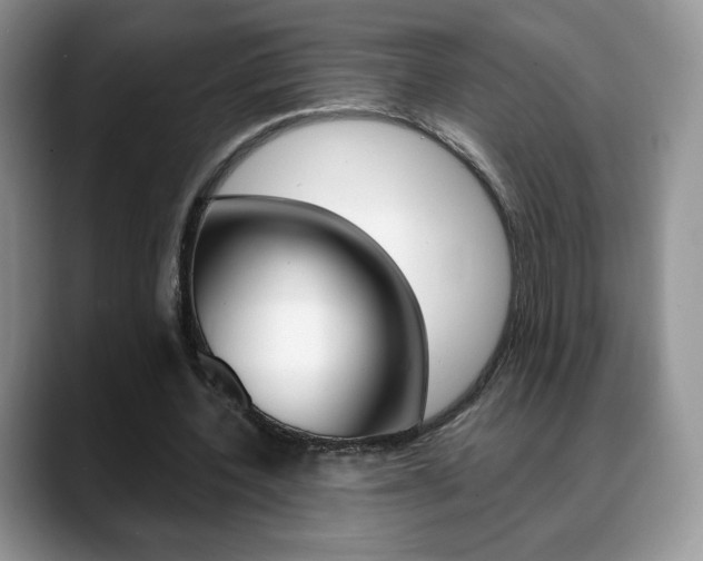 X0000088870532200706080723
