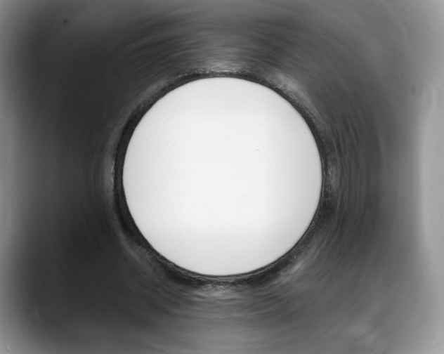 X0000088870534200706080723