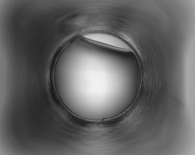 X0000088870535200706080723