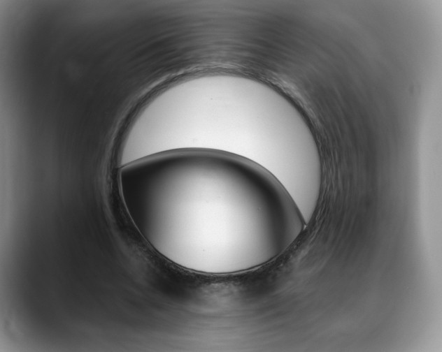 X0000088870536200706080723