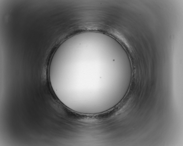 X0000088870537200706080723