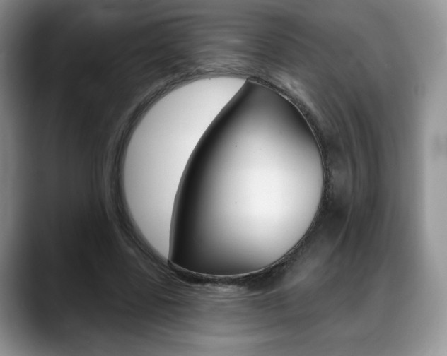 X0000088870539200706080723
