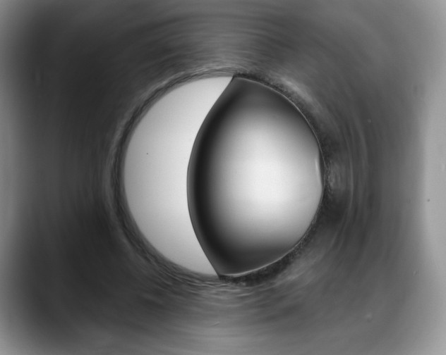 X0000088870540200706080723