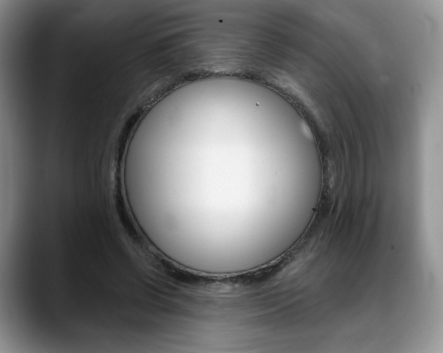 X0000088870542200706080723