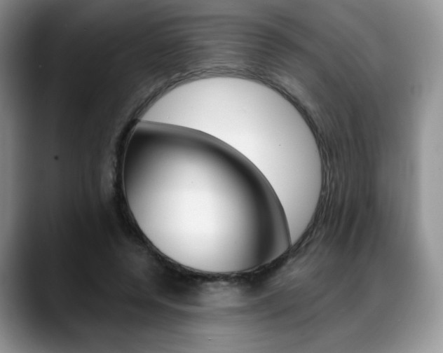 X0000088870544200706080723