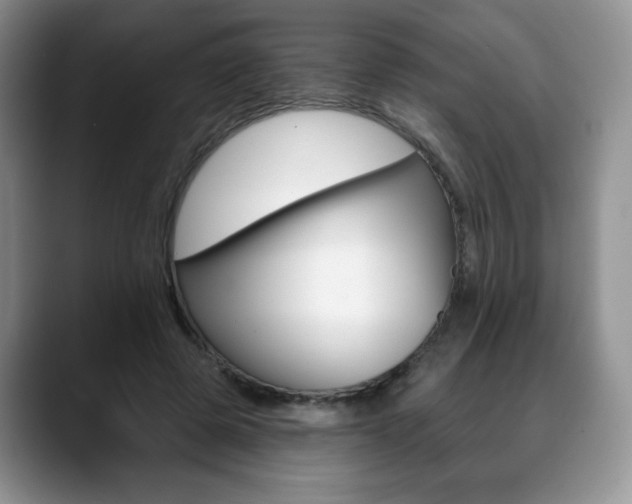 X0000088870545200706080723