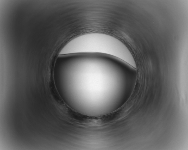 X0000088870552200706080723