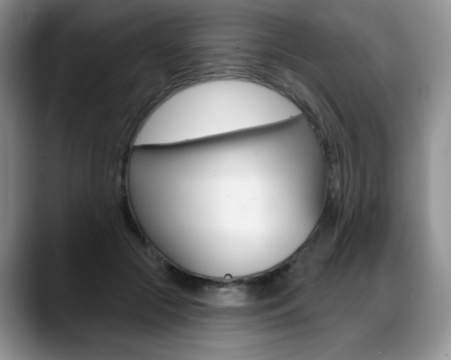 X0000088870553200706080723
