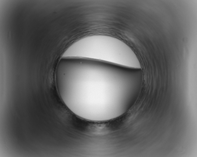 X0000088870554200706080723