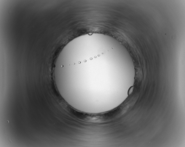 X0000088870557200706080723