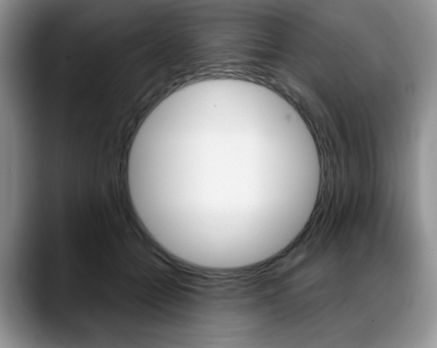 X0000088870558200706080723